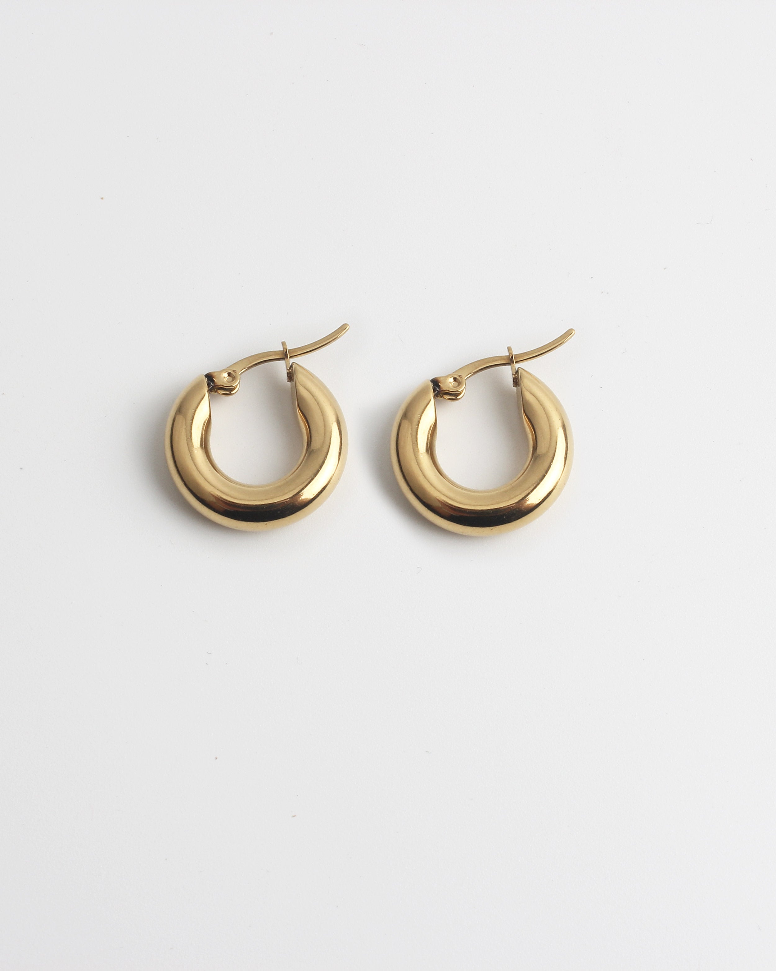 Dolce - Earrings - Stainless Steel