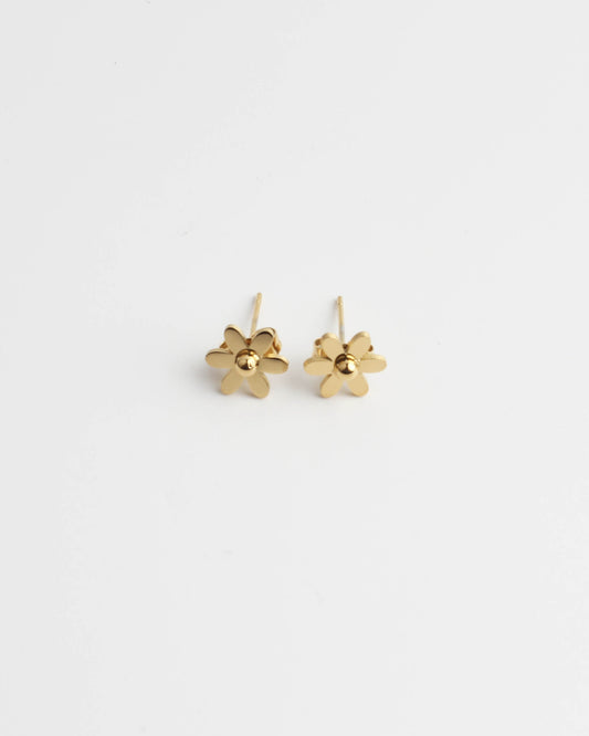 Daisy Flower - Boucle d'oreilles - Boucles d'oreilles - Acier inoxydable