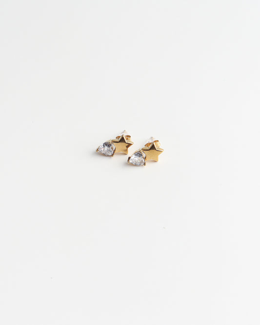 Lavinia - Oorbellen - Studs - Stainless Steel