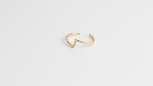 Robin - Ring - Stainless Steel - Verstelbaar