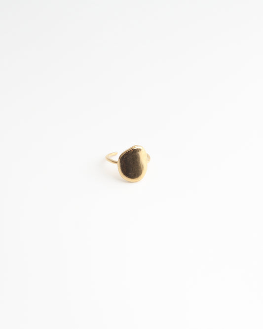 Lianne - Anillo - Acero inoxidable - Ajustable