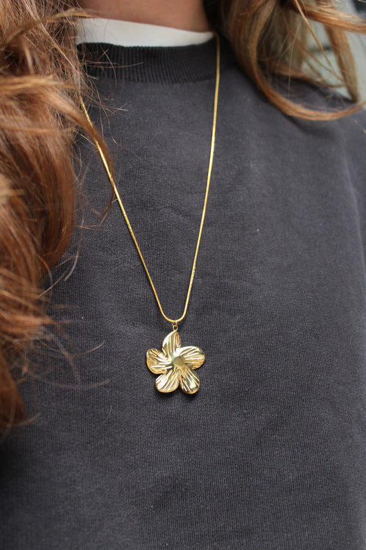 Shaïra - Collier - Acier inoxydable